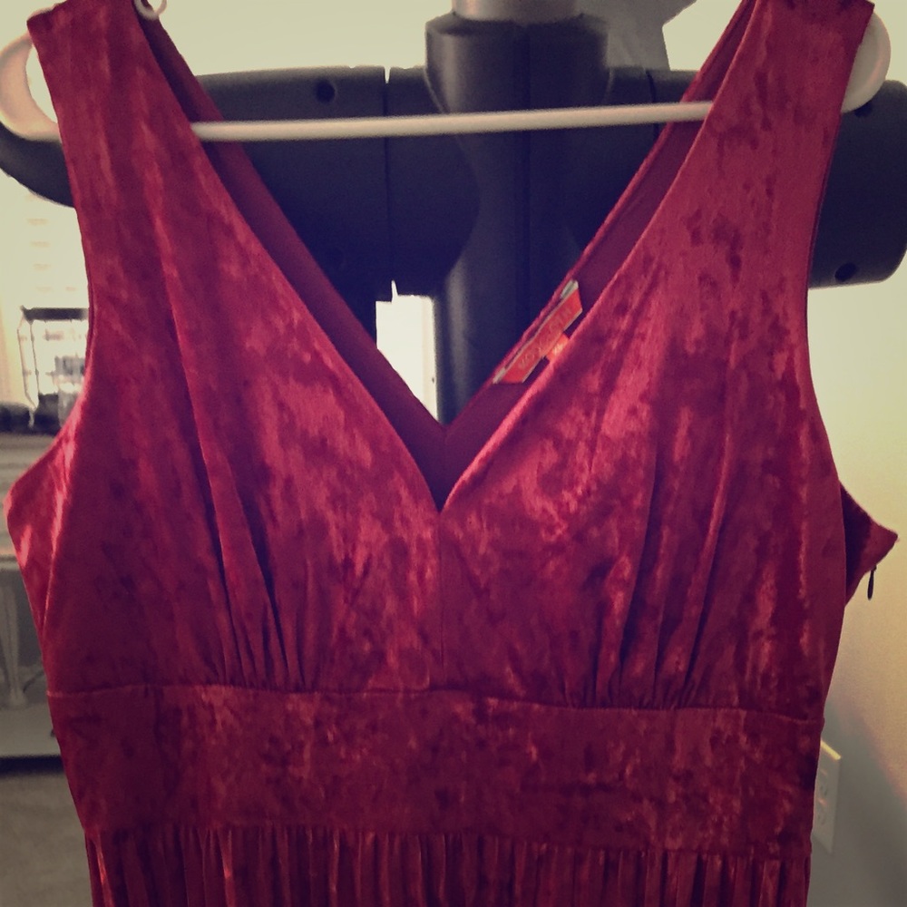 Fabulous Red Velvet Dress!